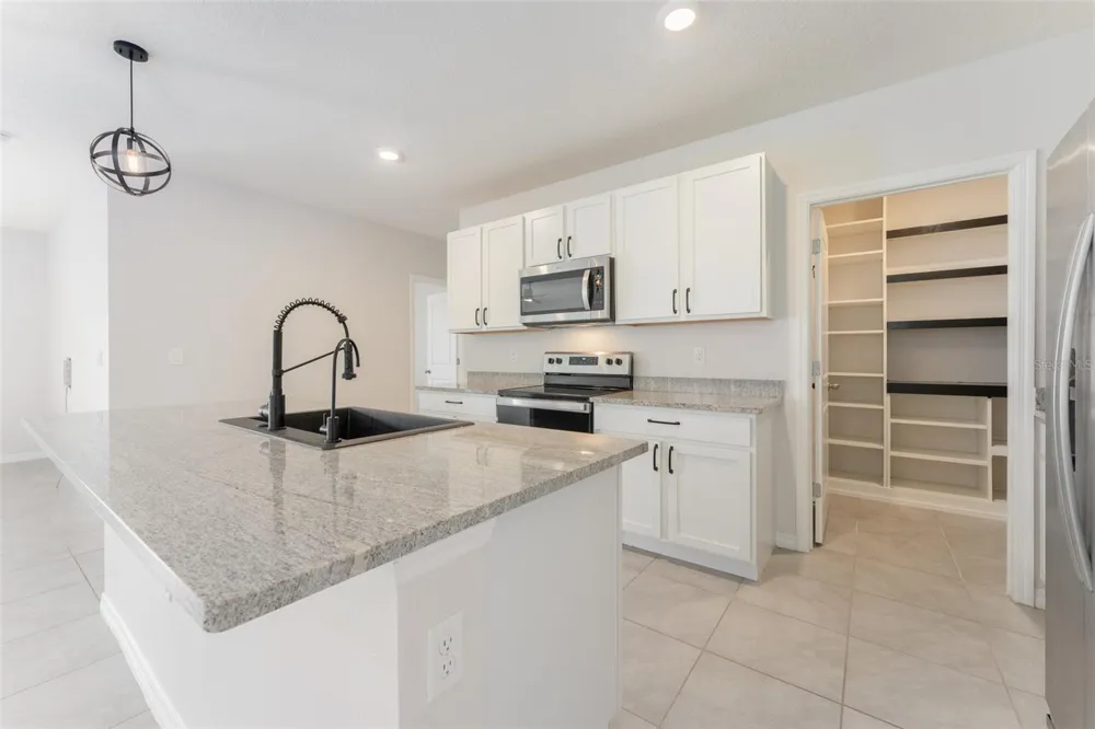 17031 BLISTER WING DRIVE Wimauma, FL 33598
