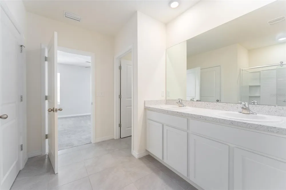 17031 BLISTER WING DRIVE Wimauma, FL 33598