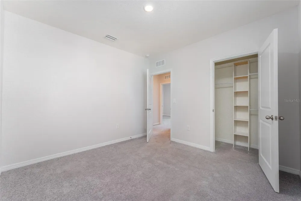 17031 BLISTER WING DRIVE Wimauma, FL 33598