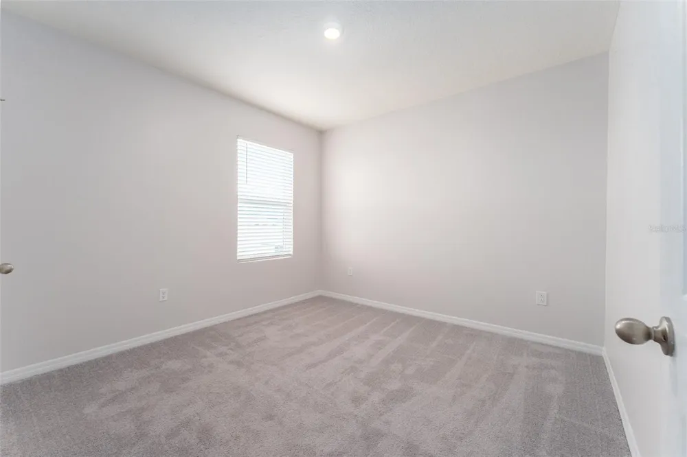 17031 BLISTER WING DRIVE Wimauma, FL 33598