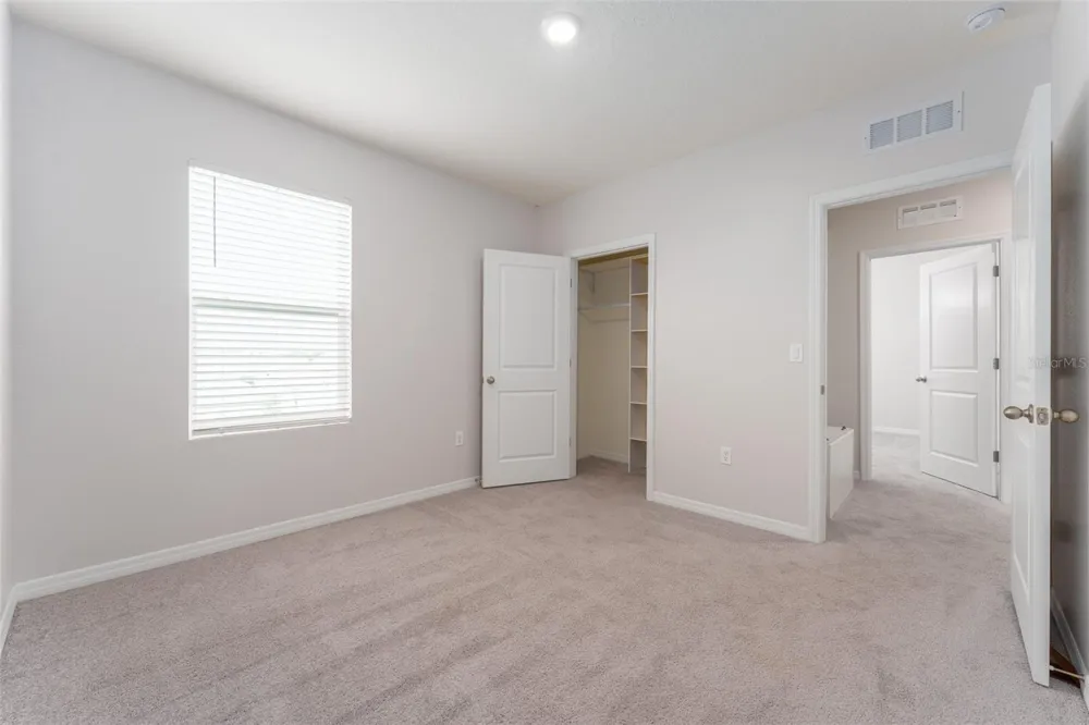 17031 BLISTER WING DRIVE Wimauma, FL 33598