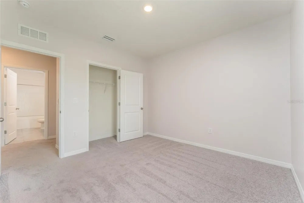 17031 BLISTER WING DRIVE Wimauma, FL 33598