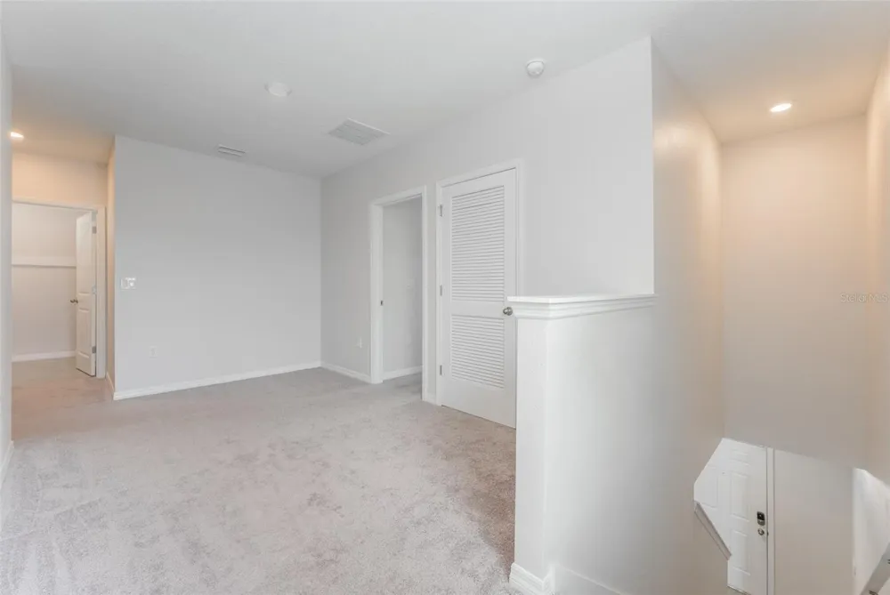 17031 BLISTER WING DRIVE Wimauma, FL 33598