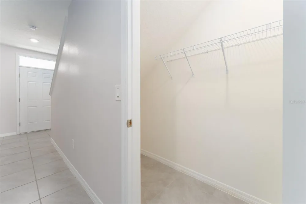 17031 BLISTER WING DRIVE Wimauma, FL 33598