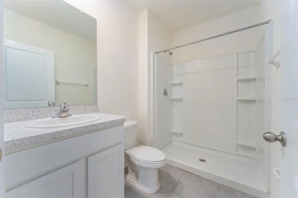 17031 BLISTER WING DRIVE Wimauma, FL 33598