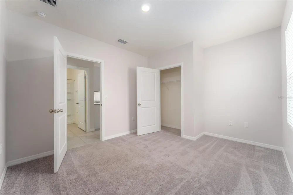 17031 BLISTER WING DRIVE Wimauma, FL 33598