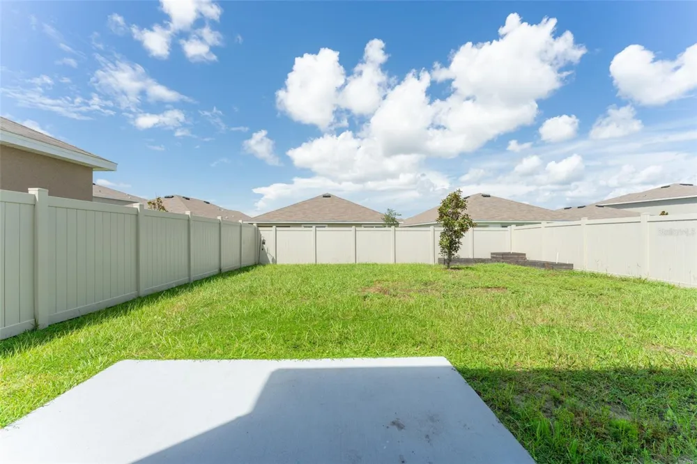 17031 BLISTER WING DRIVE Wimauma, FL 33598