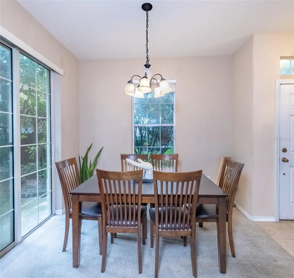 6717 EAGLE FEATHER DRIVE Riverview, FL 33578