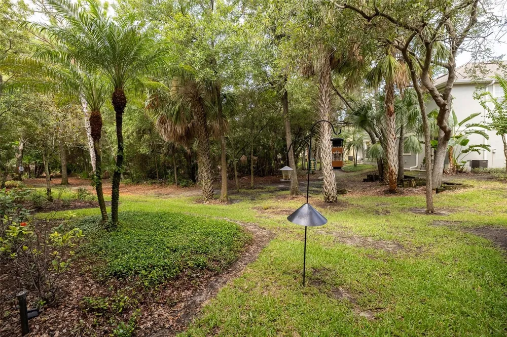 6717 EAGLE FEATHER DRIVE Riverview, FL 33578