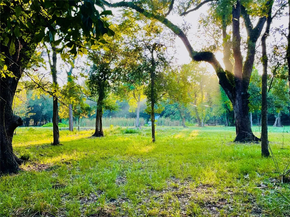 416 County Road 28 Angleton, TX 77515