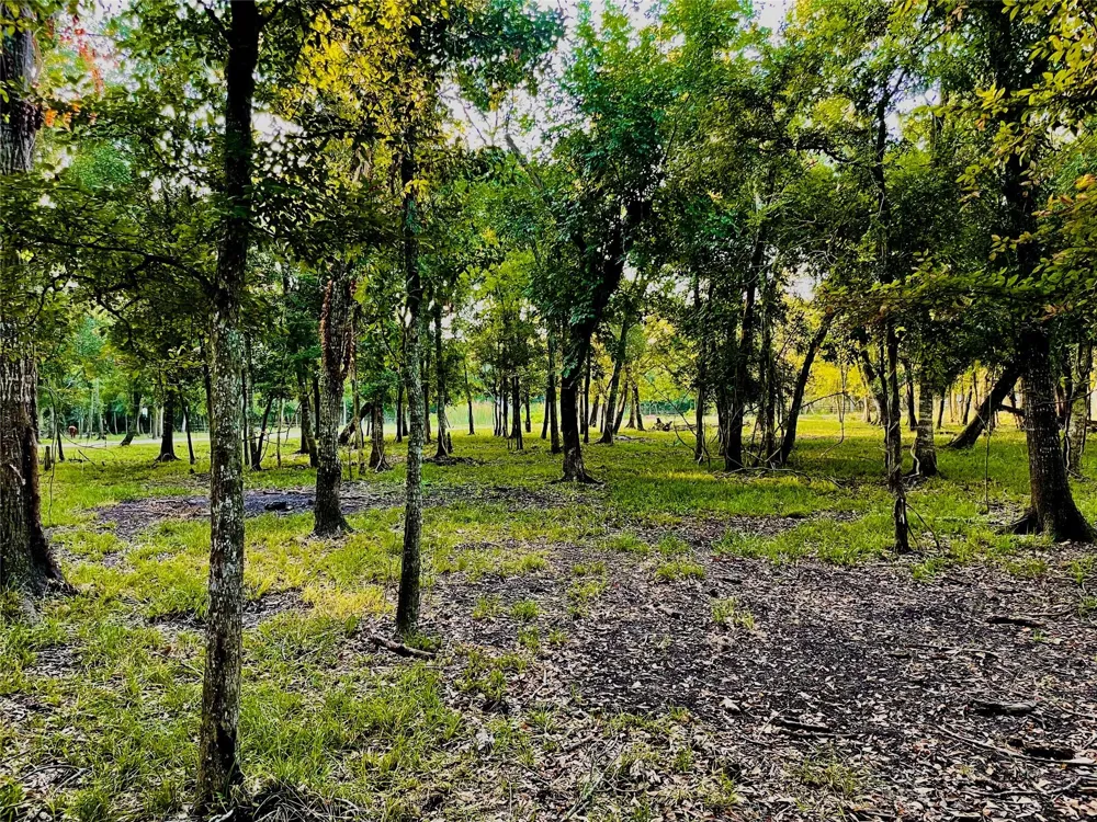 416 County Road 28 Angleton, TX 77515