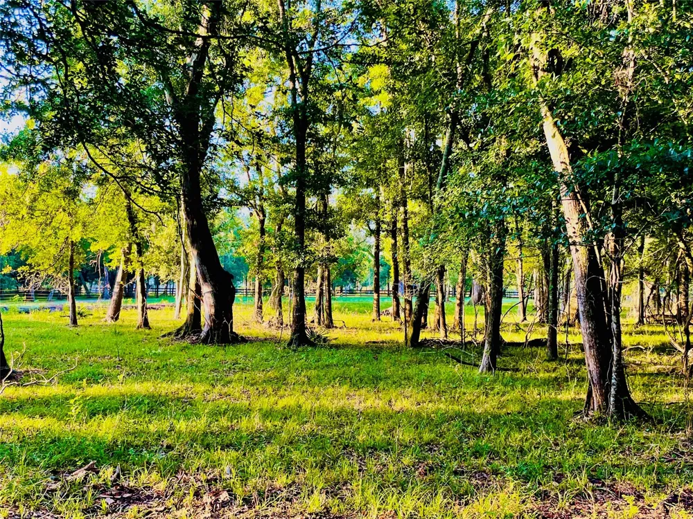 416 County Road 28 Angleton, TX 77515