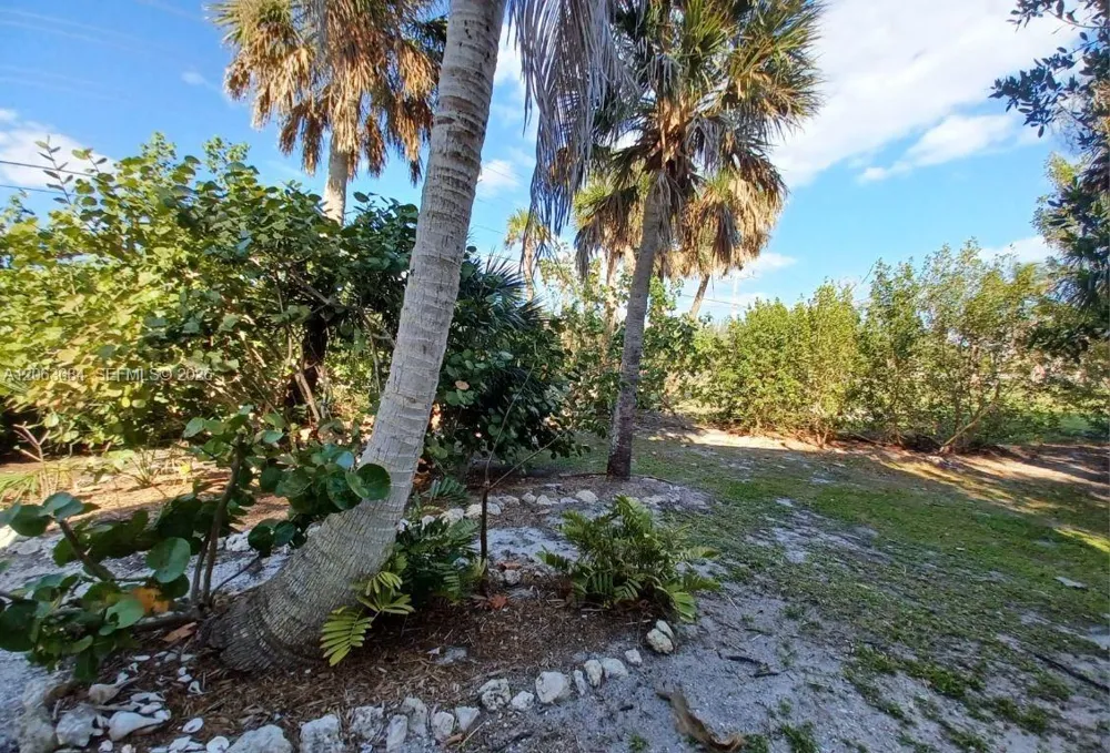 9228 BELDING #9228 Other City - In The State Of Florida, FL 33957