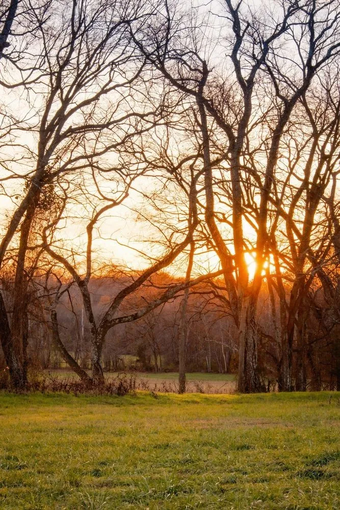 3016 Blythe Meadow Ln Arrington, TN 37014