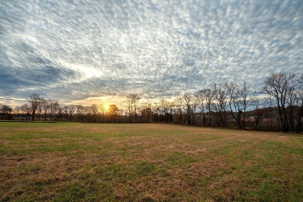 3016 Blythe Meadow Ln Arrington, TN 37014