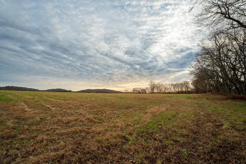 3016 Blythe Meadow Ln Arrington, TN 37014