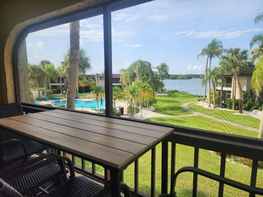1003 S BAYSHORE BOULEVARD #202 Safety Harbor, FL 34695