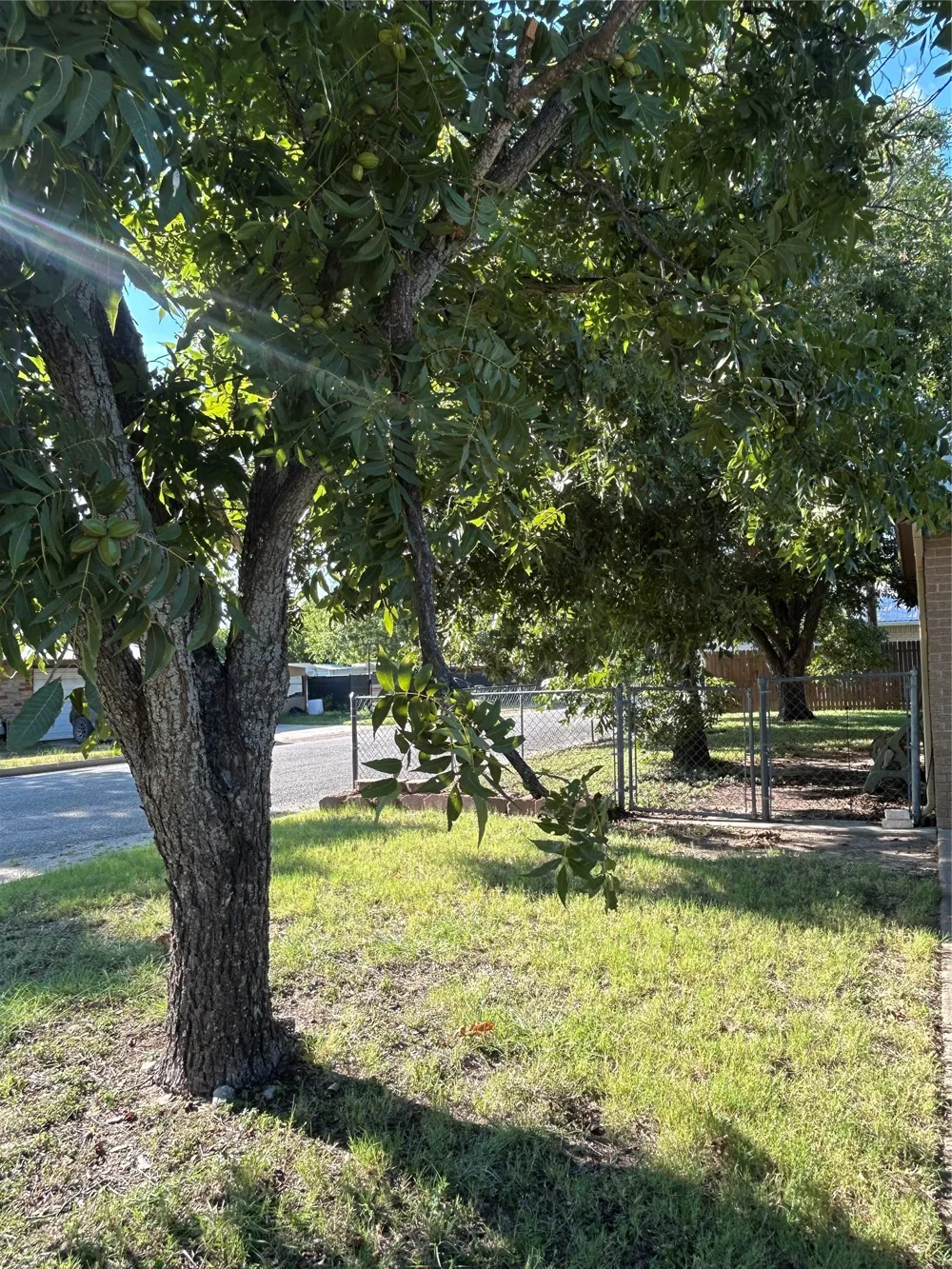 1810 Peach Goldthwaite, TX 76844