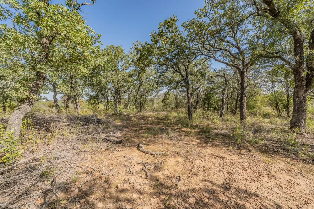 417 Wood River Road Millsap, TX 76066