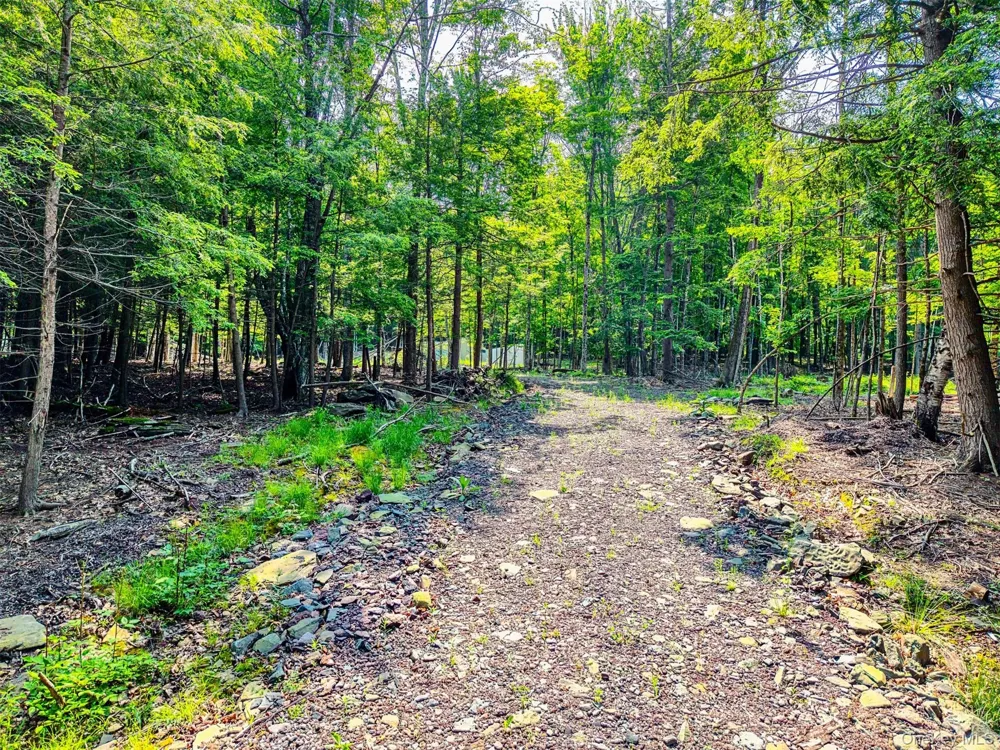 TBD Boulder Brook lots 33-38 Road Windham, NY 12496