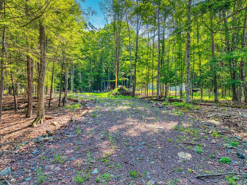 TBD Boulder Brook lots 33-38 Road Windham, NY 12496