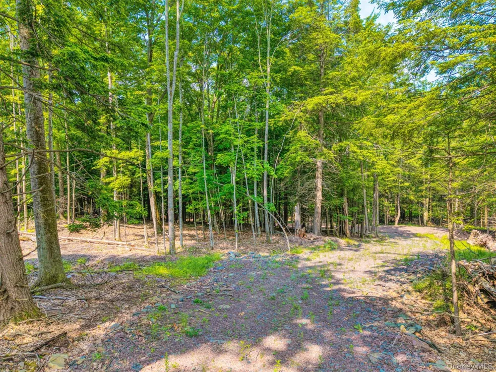 TBD Boulder Brook lots 33-38 Road Windham, NY 12496