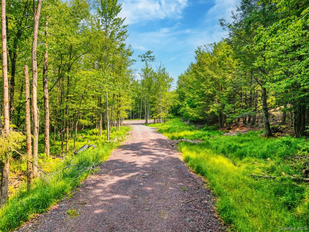 TBD Boulder Brook lots 33-38 Road Windham, NY 12496