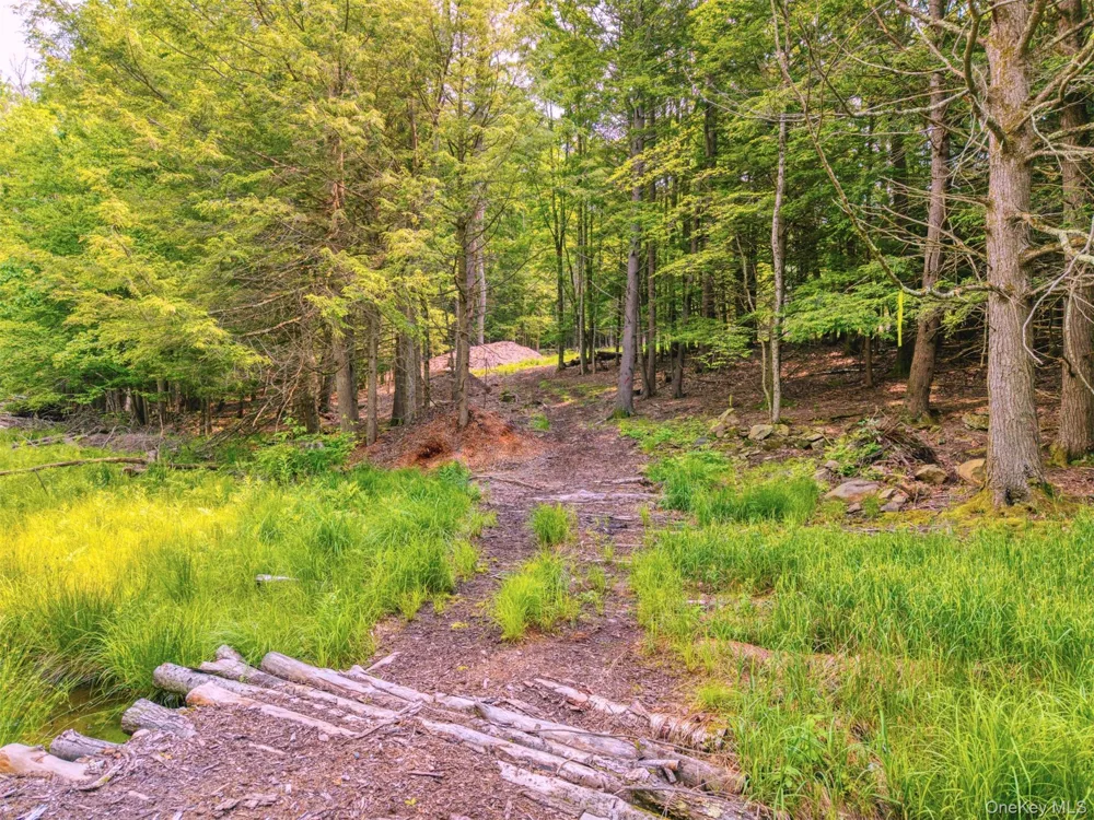 TBD Boulder Brook lots 33-38 Road Windham, NY 12496