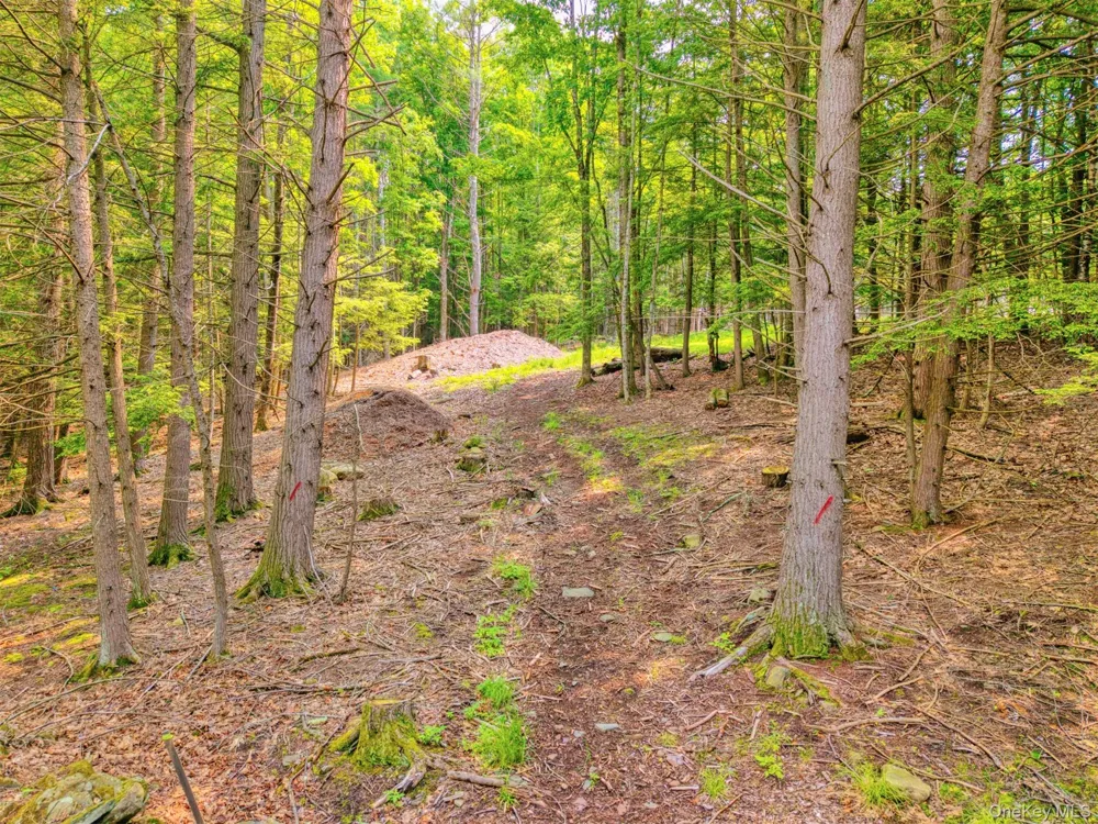 TBD Boulder Brook lots 33-38 Road Windham, NY 12496