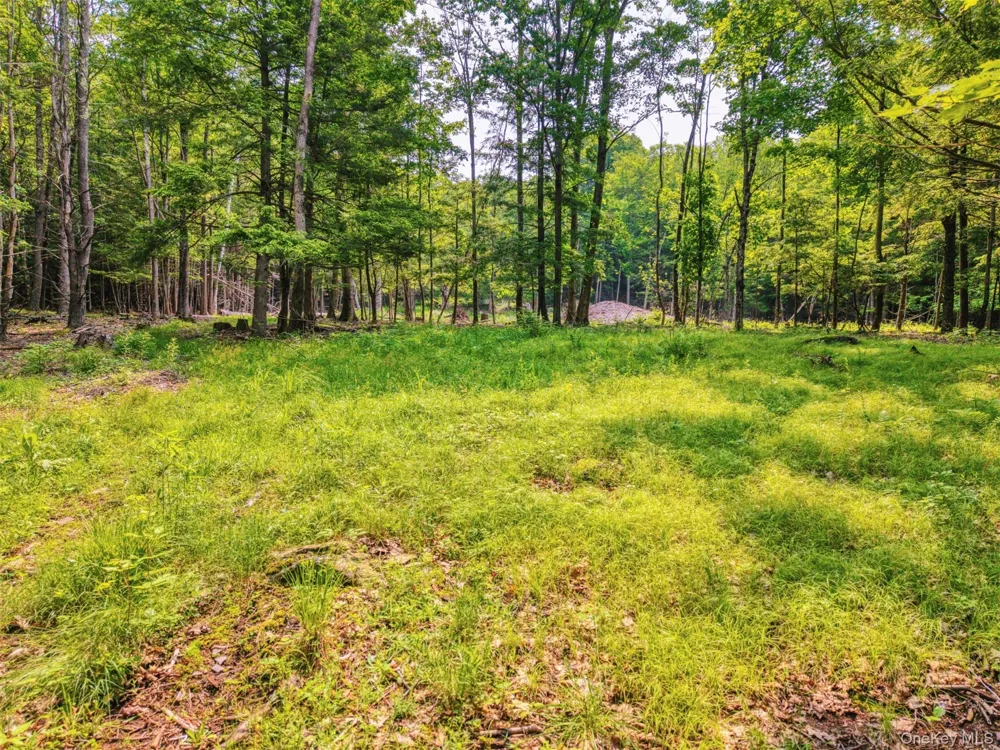 TBD Boulder Brook lots 33-38 Road Windham, NY 12496