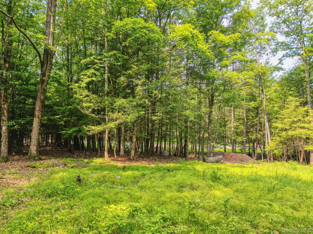 TBD Boulder Brook lots 33-38 Road Windham, NY 12496