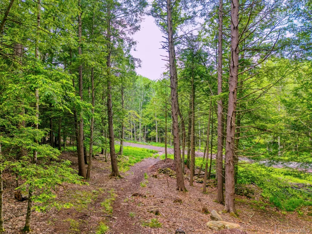 TBD Boulder Brook lots 33-38 Road Windham, NY 12496