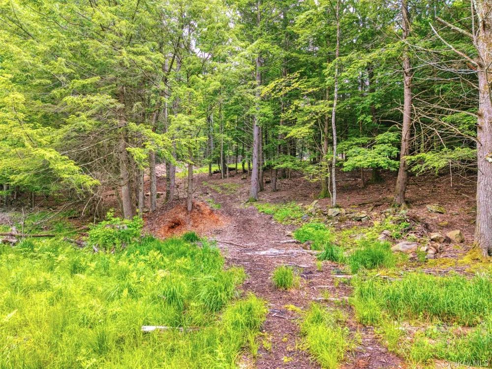 TBD Boulder Brook lots 33-38 Road Windham, NY 12496