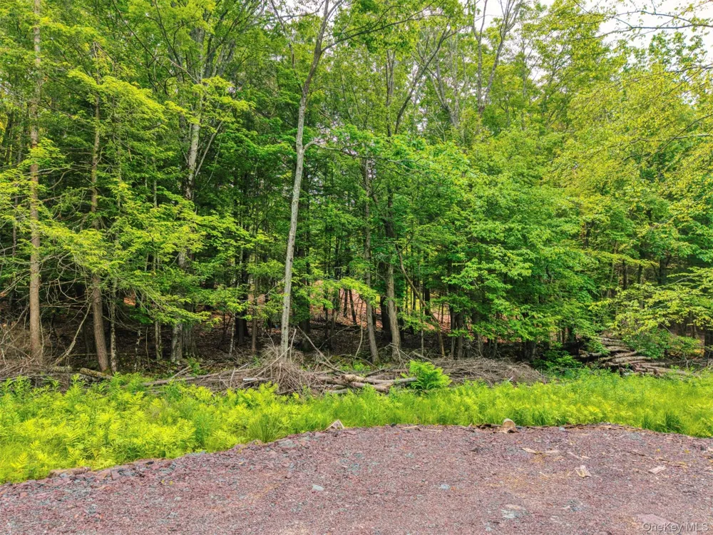 TBD Boulder Brook lots 33-38 Road Windham, NY 12496