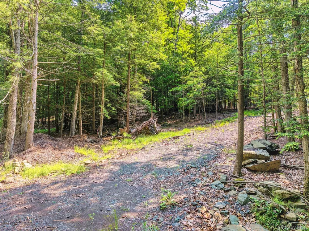 TBD Boulder Brook lots 33-38 Road Windham, NY 12496