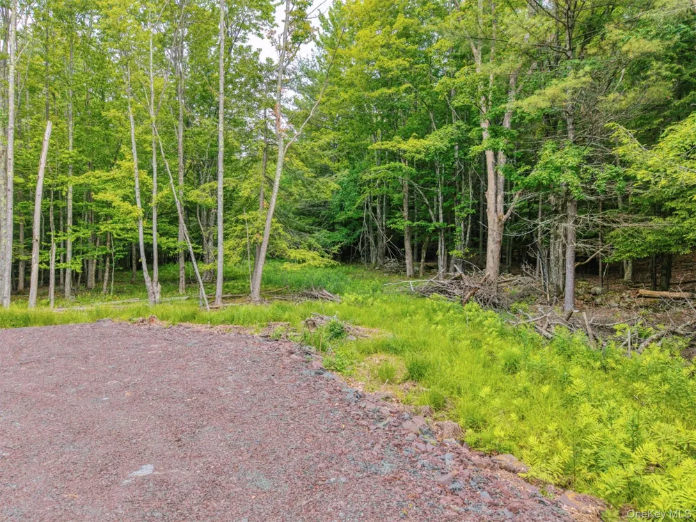 TBD Boulder Brook lots 33-38 Road Windham, NY 12496