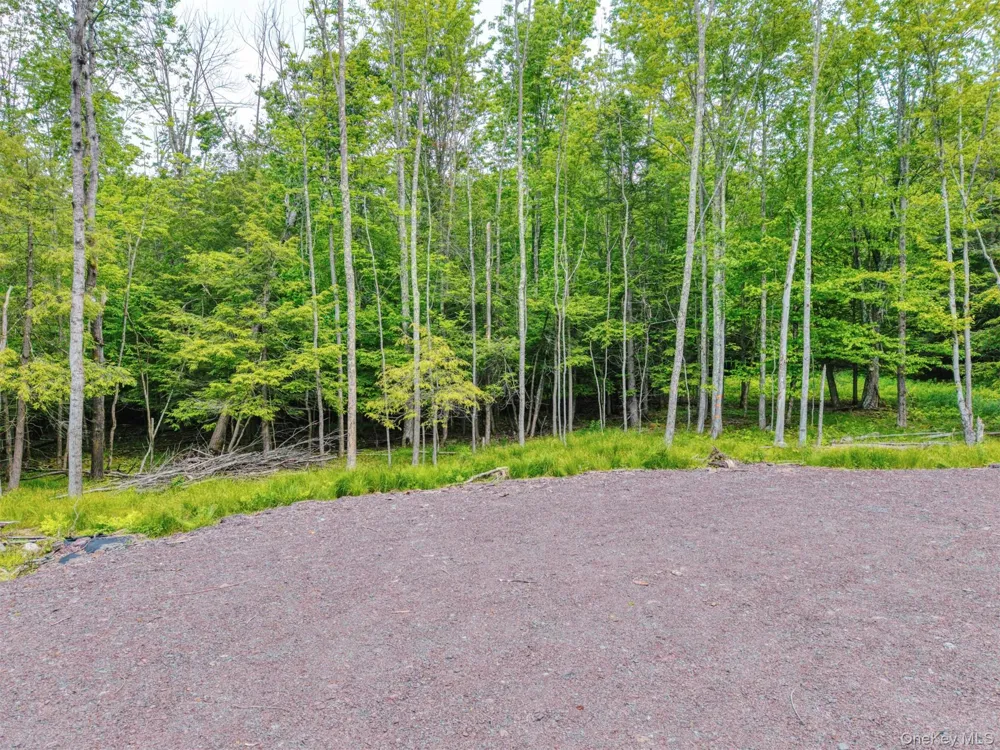 TBD Boulder Brook lots 33-38 Road Windham, NY 12496