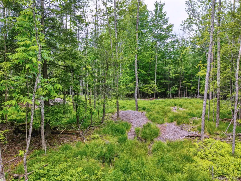 TBD Boulder Brook lots 33-38 Road Windham, NY 12496