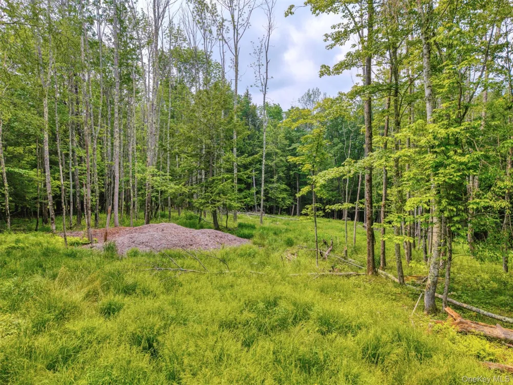 TBD Boulder Brook lots 33-38 Road Windham, NY 12496