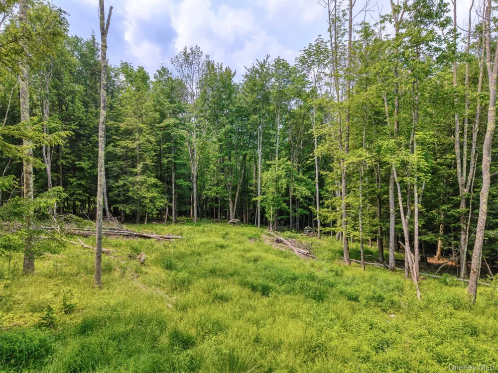 TBD Boulder Brook lots 33-38 Road Windham, NY 12496