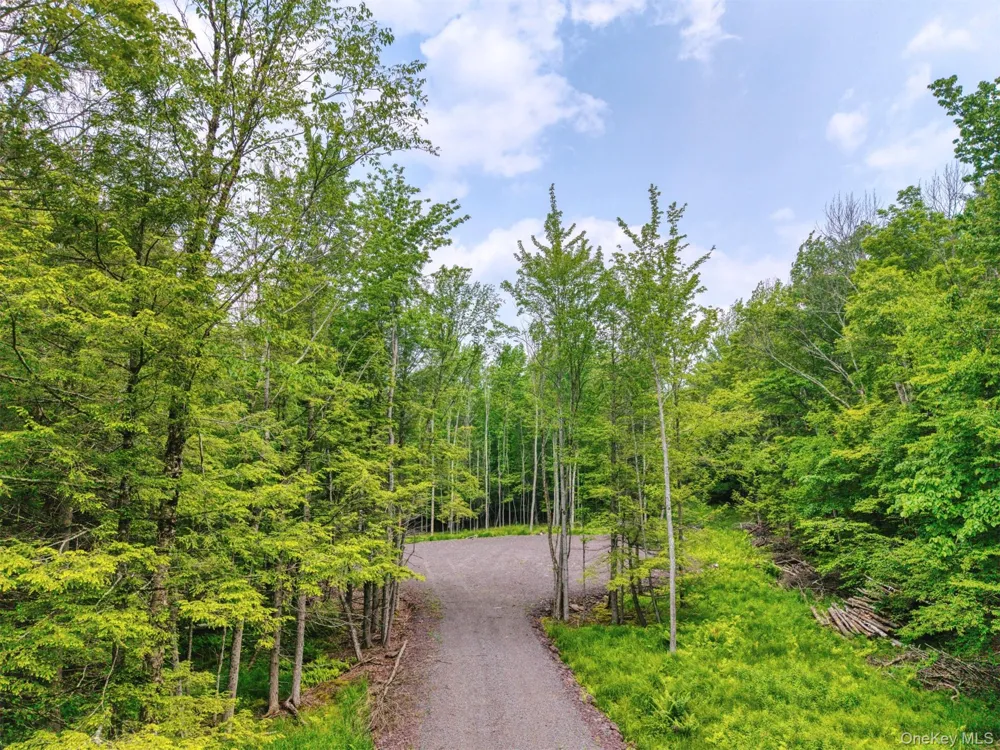 TBD Boulder Brook lots 33-38 Road Windham, NY 12496