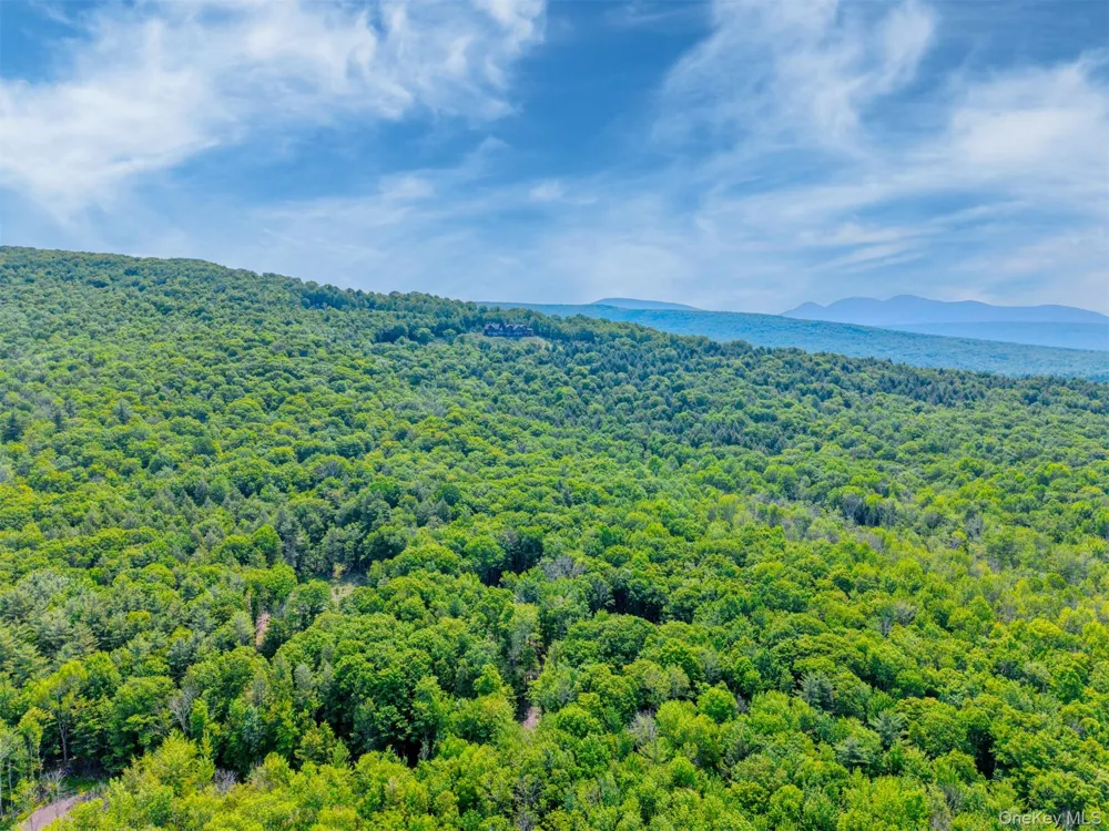 TBD Boulder Brook lots 33-38 Road Windham, NY 12496