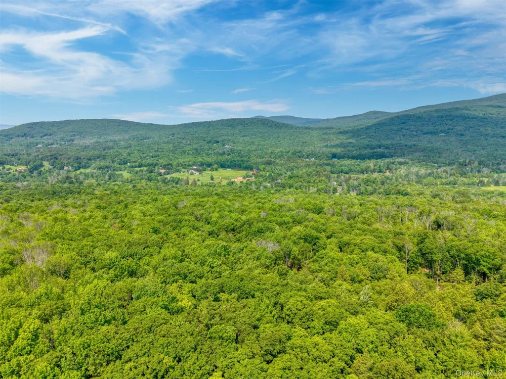 TBD Boulder Brook lots 33-38 Road Windham, NY 12496