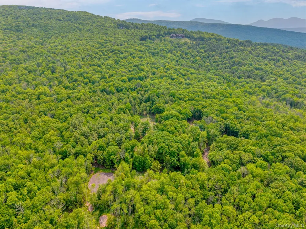 TBD Boulder Brook lots 33-38 Road Windham, NY 12496