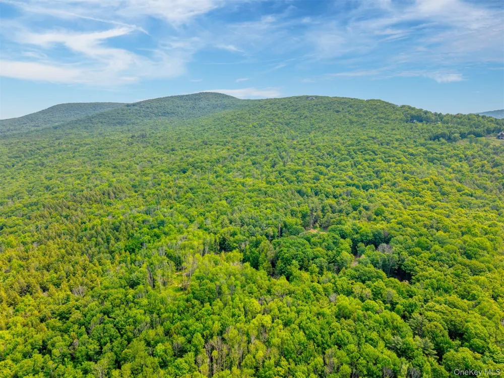 TBD Boulder Brook lots 33-38 Road Windham, NY 12496