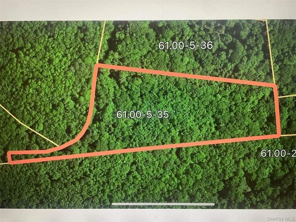 TBD Boulder Brook Lot 11 Road Windham, NY 12496