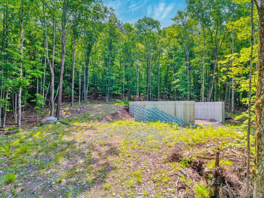 TBD Boulder Brook Lot 11 Road Windham, NY 12496