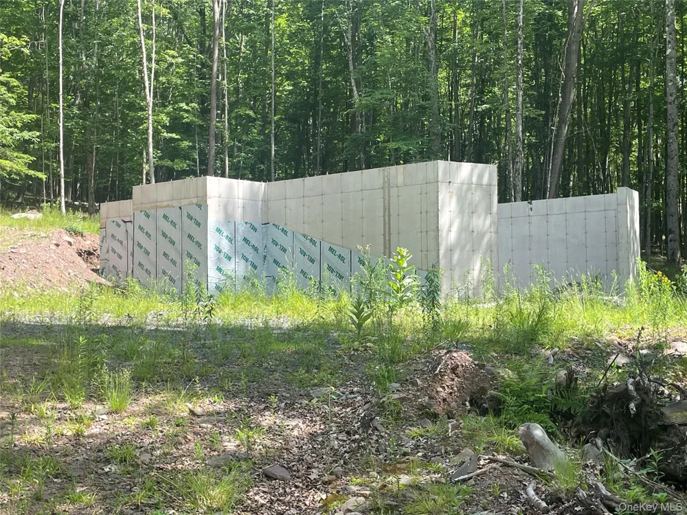 TBD Boulder Brook Lot 11 Road Windham, NY 12496