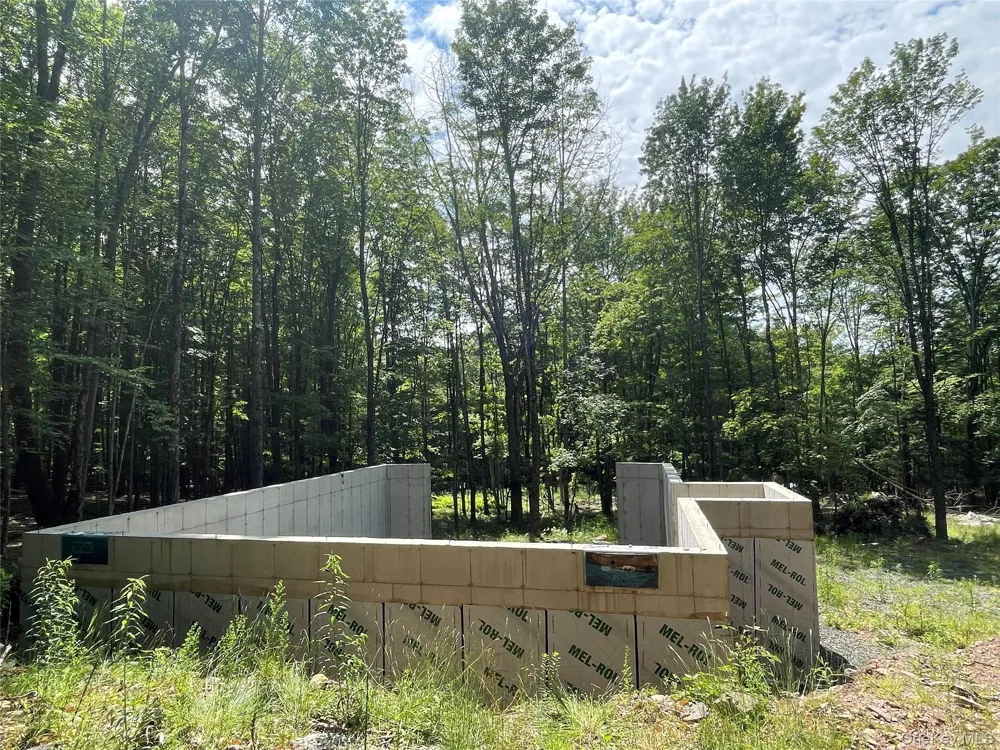 TBD Boulder Brook Lot 11 Road Windham, NY 12496