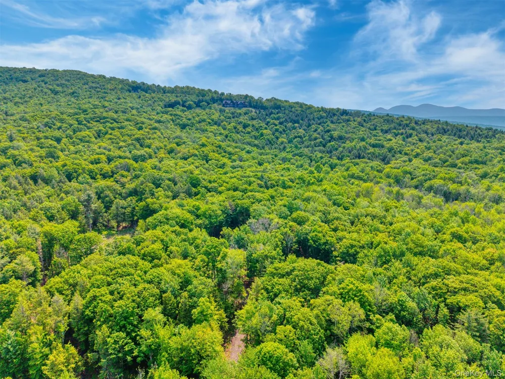 TBD Boulder Brook Lot 11 Road Windham, NY 12496